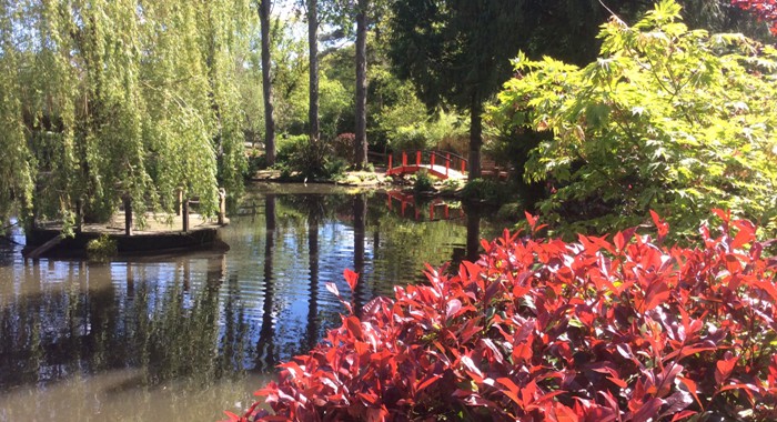Lake and gardens