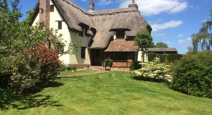 Thatched cottage