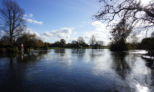 River Avon Fishing