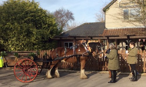 Best New Forest Pubs