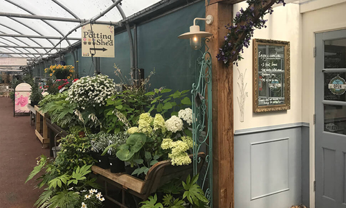 the potting shed