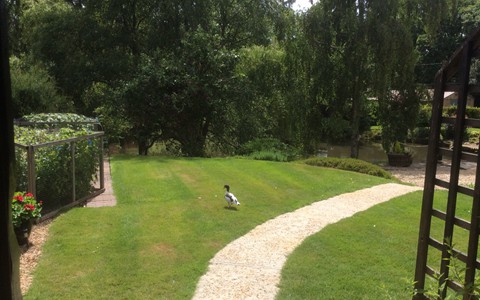 View from The Retreat overlooking the Lake
